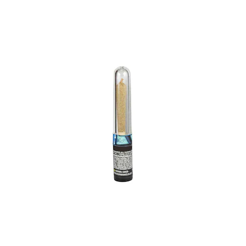Korova - WOOK [1G]