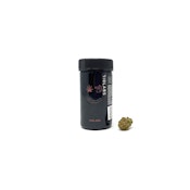 KOSHER DAWG